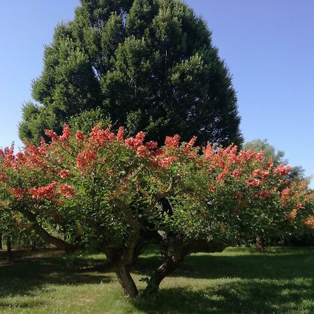 ياتّيباليا B&B Villa Napoli المظهر الخارجي الصورة
