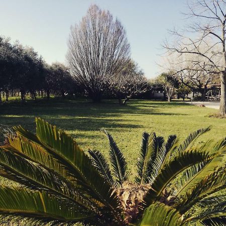 ياتّيباليا B&B Villa Napoli المظهر الخارجي الصورة