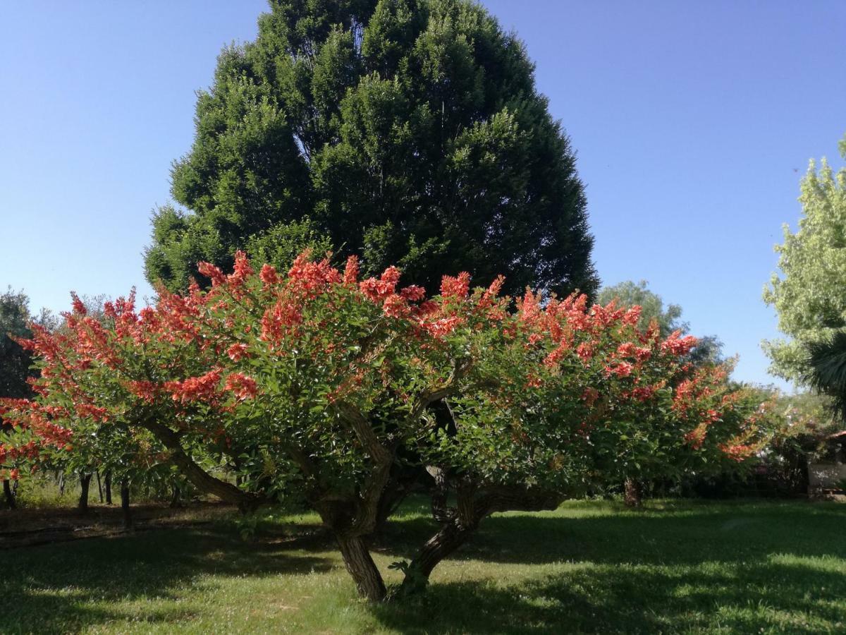 ياتّيباليا B&B Villa Napoli المظهر الخارجي الصورة