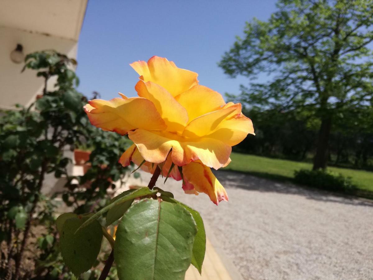 ياتّيباليا B&B Villa Napoli المظهر الخارجي الصورة