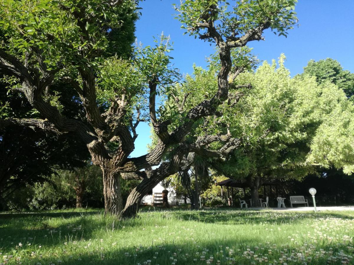 ياتّيباليا B&B Villa Napoli المظهر الخارجي الصورة